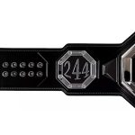 BMF Title Belt Replica – Championship – Adjustable Adult Wrestling Belt - Image 4