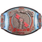 New Cm Punk Signature 434 Days Signature Spinner Championship Replica,