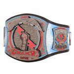 New Cm Punk Signature 434 Days Signature Spinner Championship Replica, - Image 2
