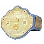 Custom Ric Flair Big Gold Championship belt – Replica Title Championship Belt, Multicolor, - Image 2