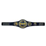 Michigan-WLV Championship Title Wrestling Belt Gold Coated Metal Plate Leather Base - Image 4