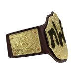 NWO Spray Big Gold Heavyweight Title Belts Replica  Diecast Brown Leather Strap - Image 3
