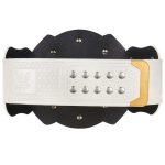 WWE Women's Tag Team Replica Wrestling Championship Title Belt, - Image 3