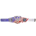 United States Universal Championship Wrestling Title Belt Replica, - Image 5