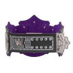 Undertaker 30-Year Signature Wrestling Title Belts Nickel Coated With Dust Bag Replica, - Image 4