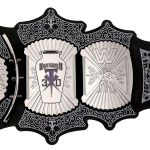 Undertaker 30-Year Signature Wrestling Title Belts Nickel Coated With Dust Bag Replica, - Image 3