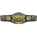 WWE Undisputed 2.0  Championship Wrestling Title Belt Version 2 Replica ,