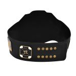 World Wrestling Entertainment Championship United States Title Belt Replica , - Image 3