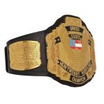 WCW United States Wrestling Championship Title Belt Replica, with Bag - Image 3