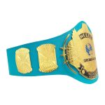 Sky Blue Winged Eagle Championship World Heavy weight Title Belt Replica , - Image 2