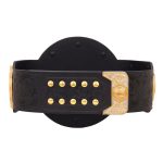 WWE World 2023 Tag Team Wrestling Championship Title Belt Replica, - Image 4