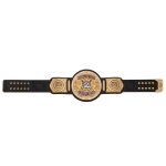 WWE World 2023 Tag Team Wrestling Championship Title Belt Replica, - Image 5